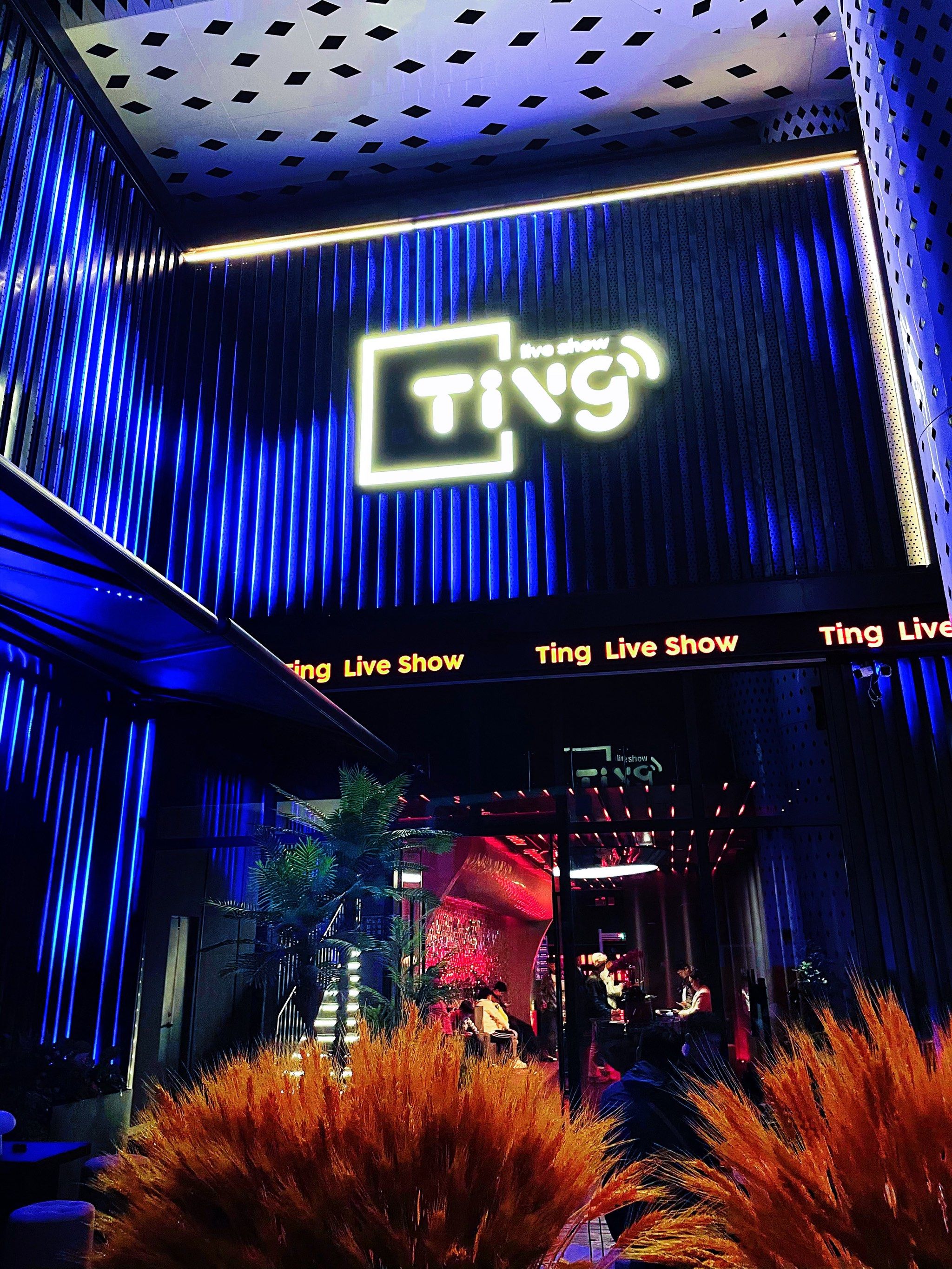 鹤岗商务ktv中低端区别-绥滨县ktv预定